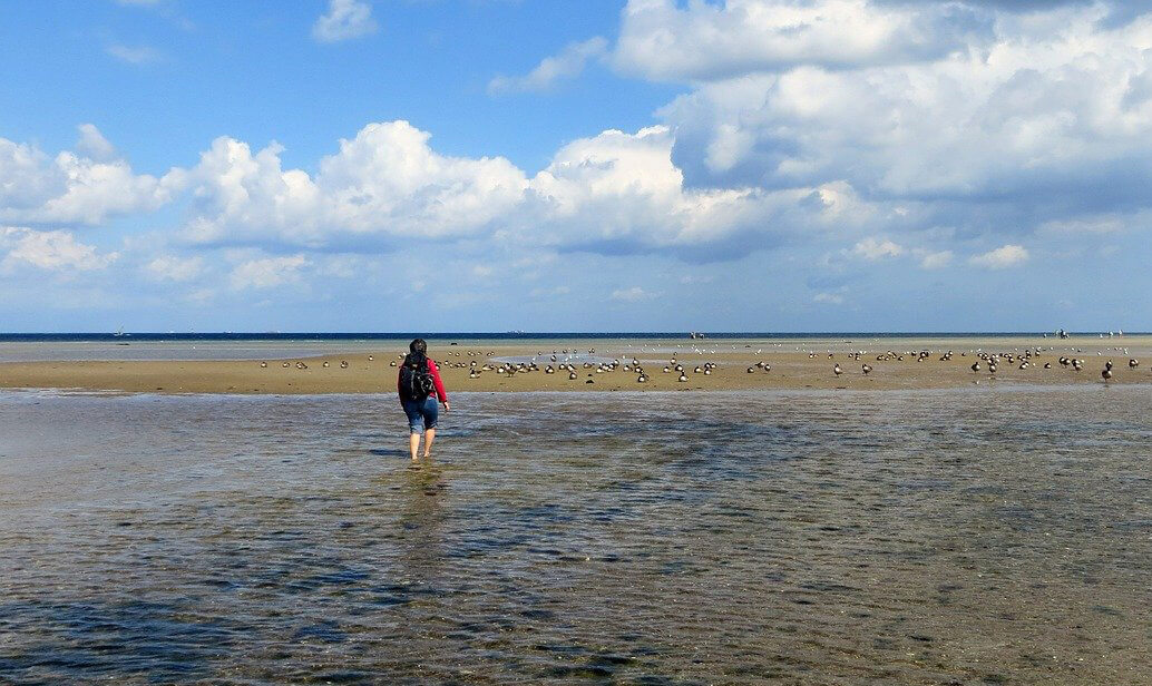 Beach walk